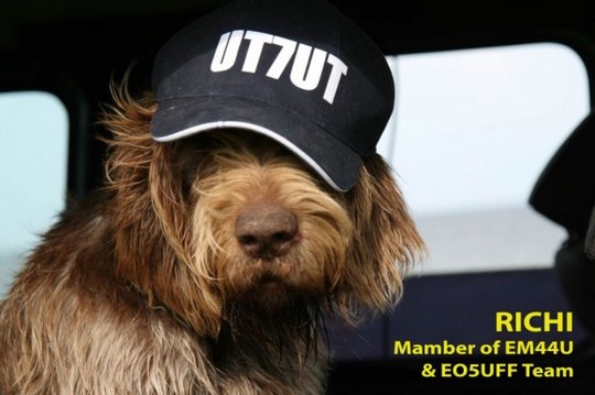 UT7UT 02