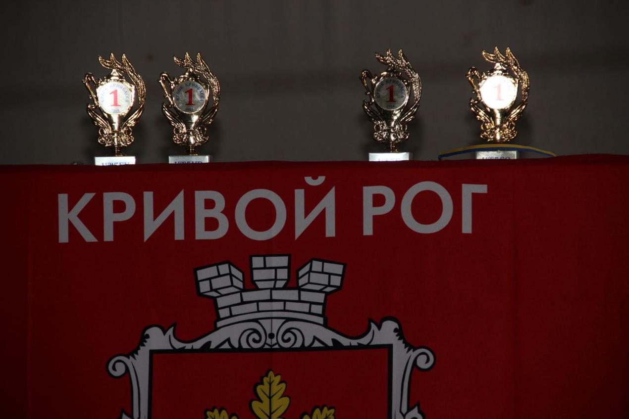 Кубок Кривбасса 2015