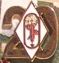 emblemy znachki 25